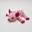 20250828_095855.jpg Flexi Piglet