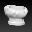 ZBrush-8_10_2023-11_48_25.png mate sombrero chef
