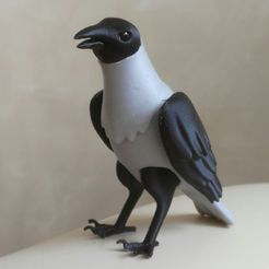 IMG_20190704_125751.jpg STL-Datei Crow BJD・Modell für 3D-Drucker zum Herunterladen