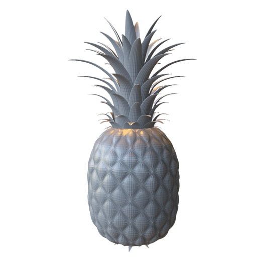 Realistic Pineapple Fruit