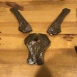 20220321_212721037_iOS.jpg Skeleton of baby Triceratops Part04/07