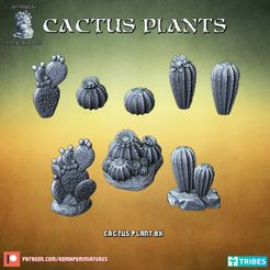 720X720-cp-1.jpg Plantes de cactus (pré-supposé)