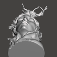 Screenshot-2025-03-16-231039.png Tree Elf