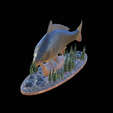 carp-high-quality-klacky-1-2.png big carp 2.0 underwater statue detailed texture for 3d printing