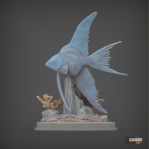🗿 Angelfish 3D print model・ 3D File for 3D printing・Cults