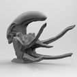 MK1-BUST.68.72.jpg Scout Alien Xenomorph Bust 3D Printing model