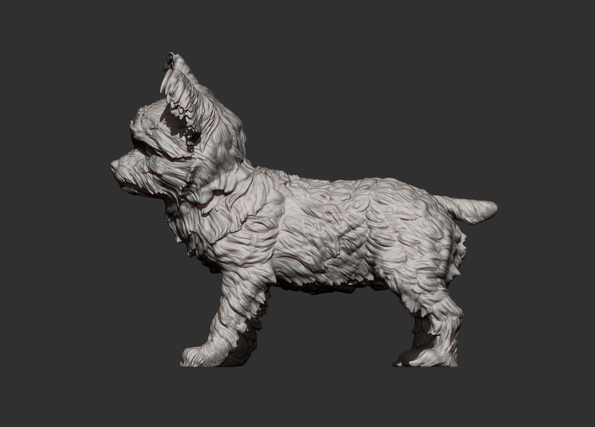 Yorkshire-Terrier9.jpg Archivo 3D Modelo de impresión 3D de Yorkshire terrier・Modelo de impresora 3D para descargar, akuzmenko