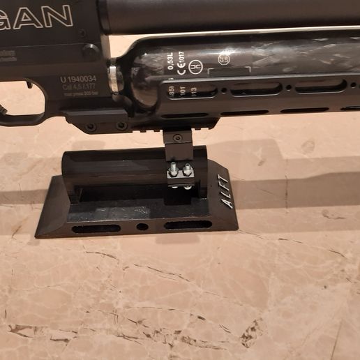 20210212_195252.jpg CHAMP CIBLE RAIL TISSEUR/CHAMPIGNON DE PARIS