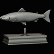 Salmon-statue-box-1-47.png fish sculpture of a Atlantic salmon / salmo salar with storage space / for 3d printing