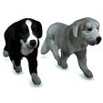 001.jpg DOG DOG - DOWNLOAD Sheepdog 3d model - CANINE PET GUARDIAN WOLF HOUSE HOME GARDEN POLICE 3D printing DOG DOG