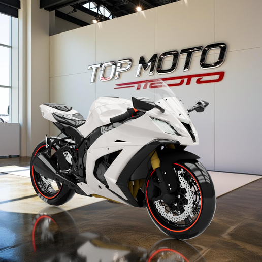 🥷 Kawasaki Ninja ZX10R・Fichier 3D pour Impression 3D・Cults
