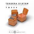 IMG_9063.jpg TB554 - Modulare Aufbewahrungsbox für das Tessera-System