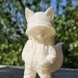 20260516_155724.jpg Kitsu Street Fox