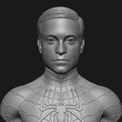 bitmap_-image17.png Tobey Maguire - SPIDER-MAN