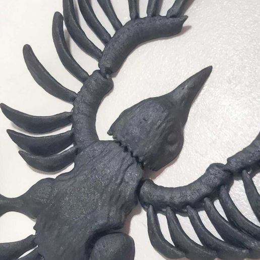 WhatsApp-Image-2023-09-16-at-18.41.50-1.jpeg Raven Crow Skull Flexi