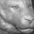 19.jpg Tiger head for 3D printing