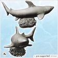 2.jpg White Shark on Ocean Reef (20) - Animal Savage Nature Circus Scuplture High-detailed