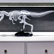 T-Rex Skeleton