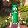20240606_154217_HDR.jpg Pickle rick with rat armor