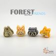 Forest-1.jpg FOREST FRIENDS MULTI-PACK - FIDGET KEYCHAIN [PRIVATE USE ONLY] 🐿️🐰🦝🦊