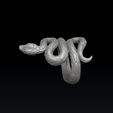 erwft8evgds1gf54dr6fg5dfrd.jpg Snake Ring v3 Hollowed 3D print model
