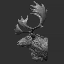 5.jpg Fichier STL Tête de renne・Modèle à imprimer en 3D à télécharger