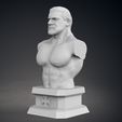 02.jpg Triple H Bust - Classic and Current Versions