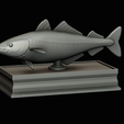 coalfish-statue-box-1-28.png fish coalfish / Pollachius virens with storage space / for 3d printing