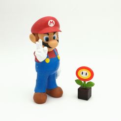 Pic6.jpg STL file Fire Flower Super Mario Multicolor・3D printing design to download