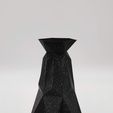 IMG_20200908_185144.jpg TRIA" vase (fashion vase)
