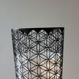 20240826_152042.jpg Flower of life 3. lampshade
