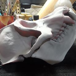 20171219_201520.jpg STL file Replica Real Orangutan Primate Skull and Jaw・3D printing idea to download