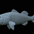 Bass-mount-statue-42.png fish Largemouth Bass / Micropterus salmoides open mouth statue detailed texture for 3d printing