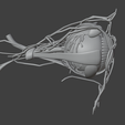 10.png 3D Model of Complete Eye Anatomy