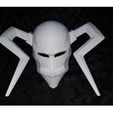 38698854_10217156978935652_2542565461787148288_o.jpg The Whole Hollow Mask - Kurosaki Ichigo - Bleach 3D print model 3D print model