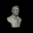 22.jpg Cary Grant bust sculpture 3D print model