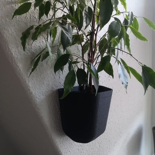 Wall flower pot 3D model