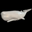 WIRE.jpg WHALE Sperm Whale Moby Dick ORCA Killer Whale Dolphin FISH sea CREATURE 3D MODEL ANIMATED RIGGED