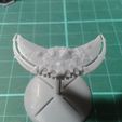 20210728_225113.jpg Dirge class raider proxy