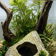 tunel-31-render-3.png Tunel para peces 31 - acuario - fish tank