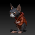 Sphynx-with-Jacket-and-Drawstrings-3.png Sphynx with Hoodie