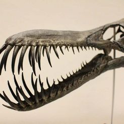 il_1140xN.2872310686_15hg.jpg STL file Pterosaur skull - Boreopterus・3D printable design to download