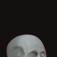 Ghost_Rider_Skull_complete.png Cranial helmet