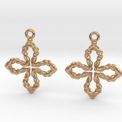 01.jpg Earrings