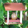 IMG_7375.jpg Hanging Birdhouse Bird feeder house, FREE. Vogelhäuschen