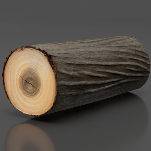 Log