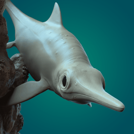 Ophthalmosaurus env.05-min.png Офтальмозавр в окружающей среде