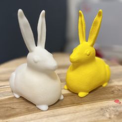 20230305_173500469_iOS.jpg STL-Datei Leucht-Osterhase - mit LED-Licht kostenlos・3D-Druck-Idee zum Herunterladen