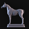 05.png Arabian Horse