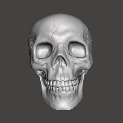 Cracked-Skull-Pic-1.jpg Cracked Skull